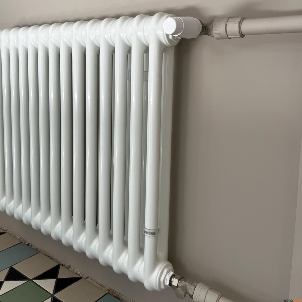 Трубчатый радиатор Irsap Tesi 2 (2 трубки высота 565 мм 18 секций длина 810 мм) боковое 3/4 Трубчатый радиатор Irsap Tesi 2 (2 трубки высота 565 мм 18 секций длина 810 мм) боковое 3/4