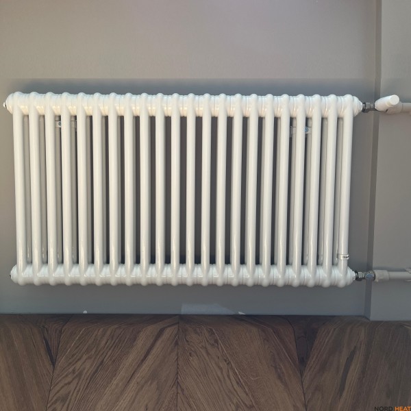 Трубчатый радиатор Irsap Tesi 2 (2 трубки высота 565 мм 22 секции длина 990 мм) боковое 3/4