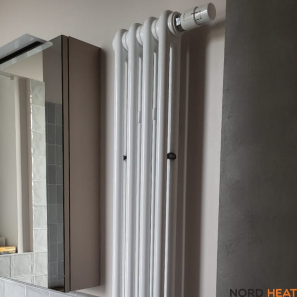 Трубчатый радиатор Rifar Tubog 2180 04 секц. (2 трубки высота 1800мм 4 секции длина 190 мм) нижнее 3/4" RAL 9016 белый