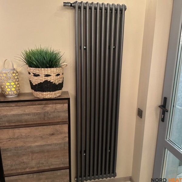 Трубчатый радиатор Rifar Tubog 2180 10 секц. (2 трубки высота 1800мм 10 секций длина 466 мм) нижнее 3/4 серый титан